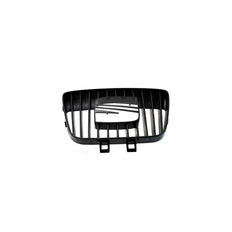 Grille de radiateur BLIC 6502-07-6608991P
