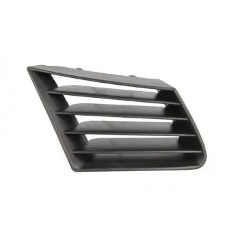 Grille de radiateur avant droit BLIC 6502-07-6609992Q