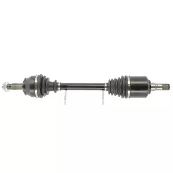 Arbre de transmission CEVAM
