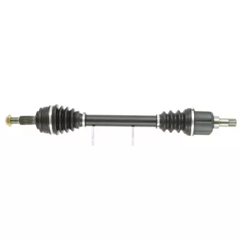 Arbre de transmission CEVAM