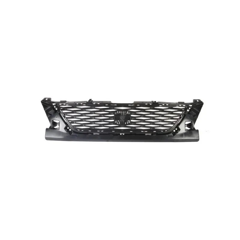 Grille de radiateur BLIC 6502-07-6614990P