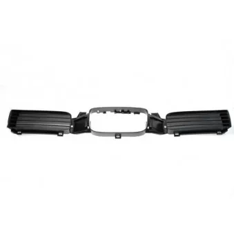 Grille de radiateur BLIC 6502-07-6616993P