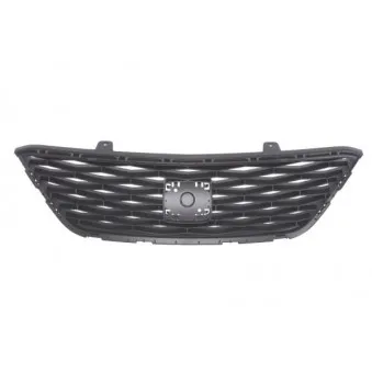 Grille de radiateur BLIC 6502-07-6621997Q