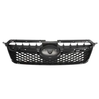 Grille de radiateur BLIC 6502-07-6735994P