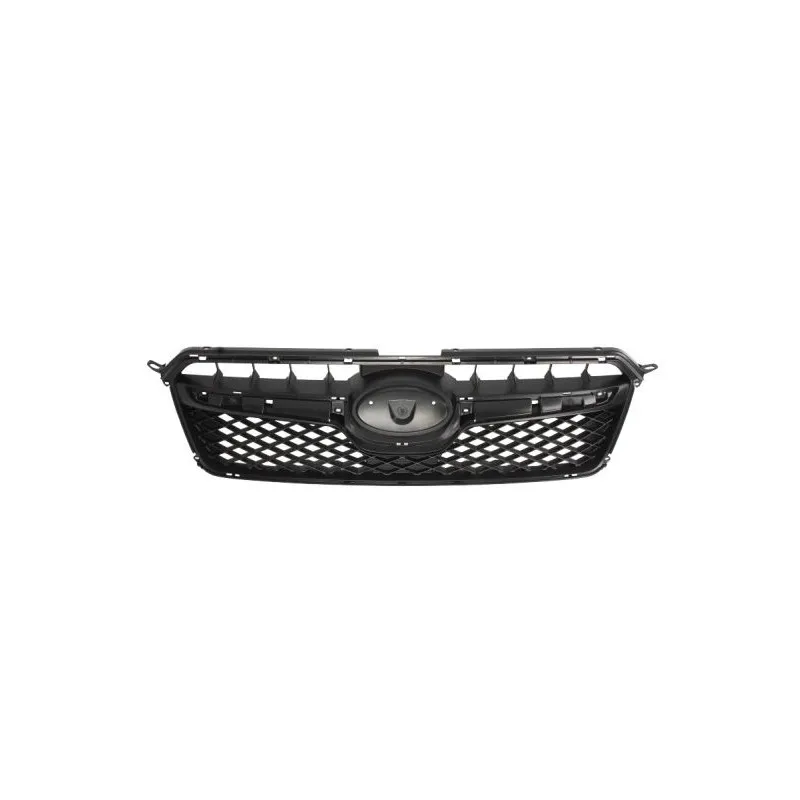 Grille de radiateur BLIC 6502-07-6735994P