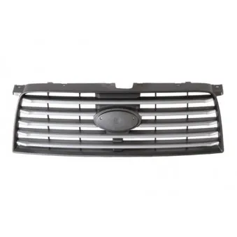 Grille de radiateur BLIC 6502-07-6736991P