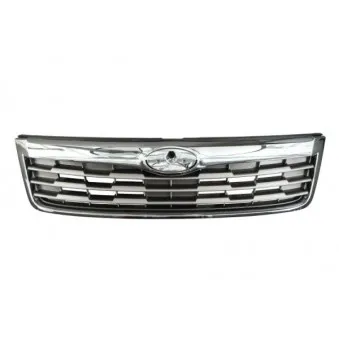 Grille de radiateur BLIC 6502-07-6737993P