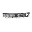 Grille de radiateur BLIC 6502-07-6812990P - Visuel 1
