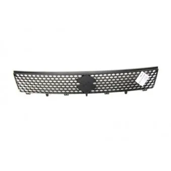 Grille de radiateur BLIC 6502-07-6812990P