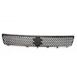 Grille de radiateur BLIC 6502-07-6812990P - Visuel 2