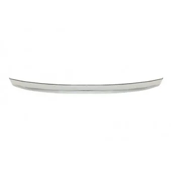 Grille de radiateur BLIC 6502-07-6824999P