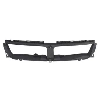 Grille de radiateur BLIC 6502-07-6825991P
