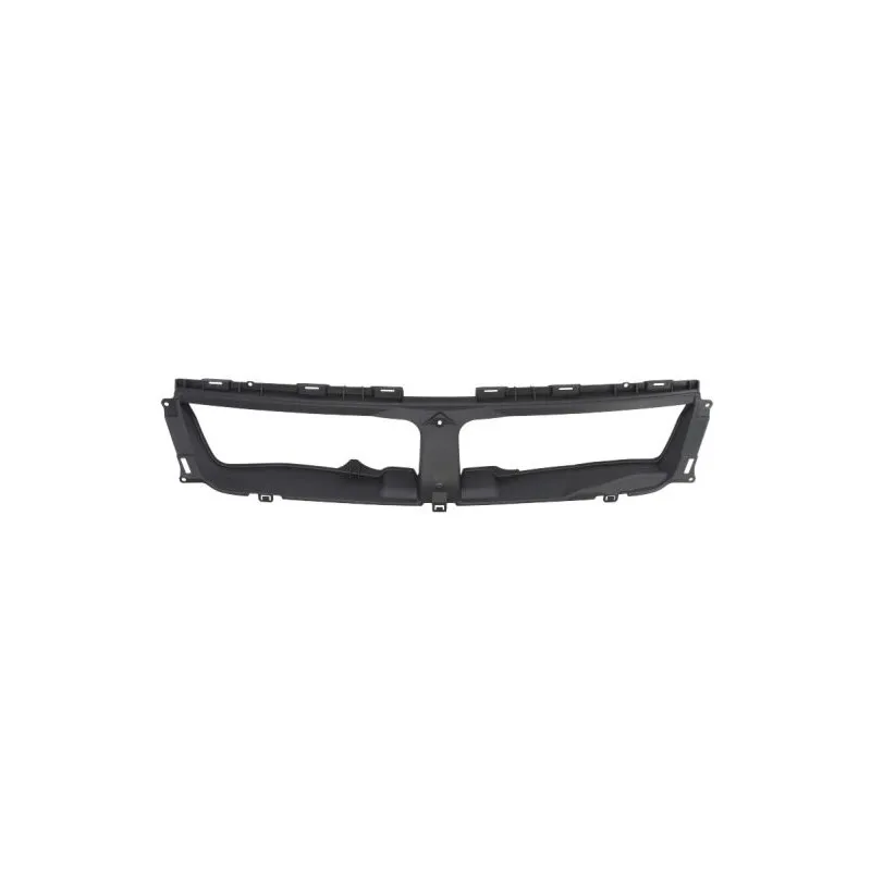 Grille de radiateur BLIC 6502-07-6825991P
