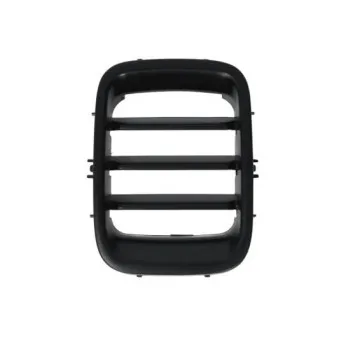 Grille de radiateur BLIC 6502-07-6842990P