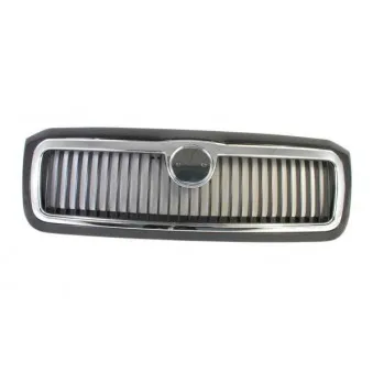 Grille de radiateur BLIC 6502-07-7513993P