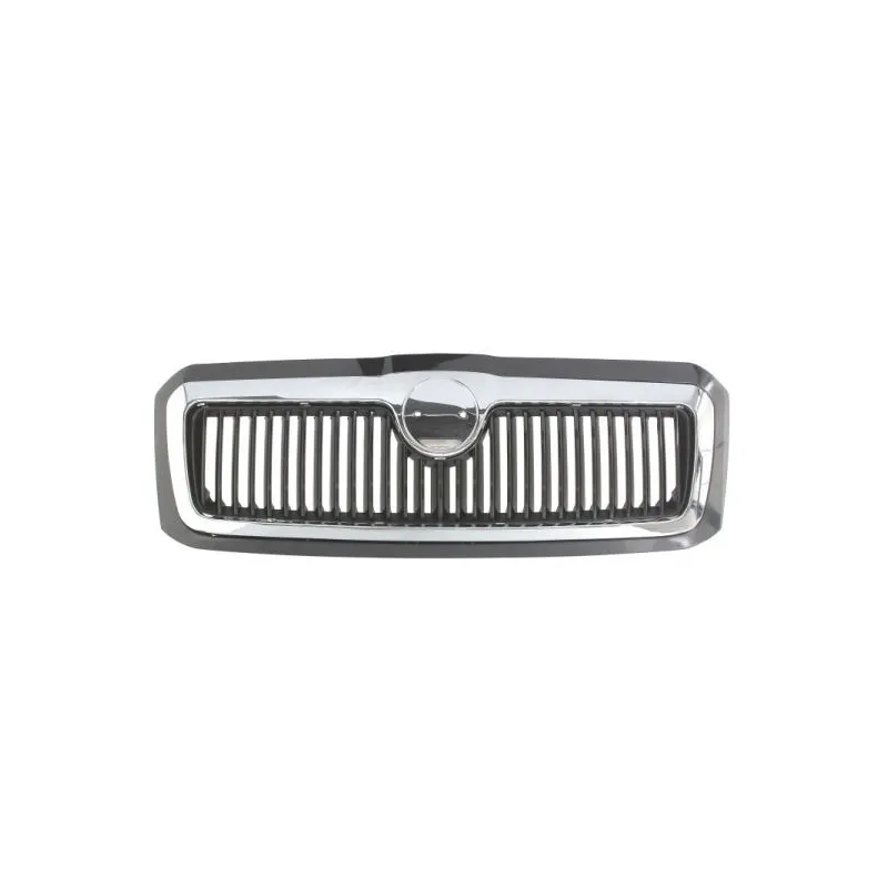 Grille de radiateur BLIC 6502-07-7520991Q