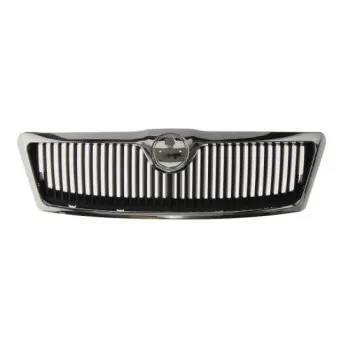 Grille de radiateur BLIC 6502-07-7521990CP