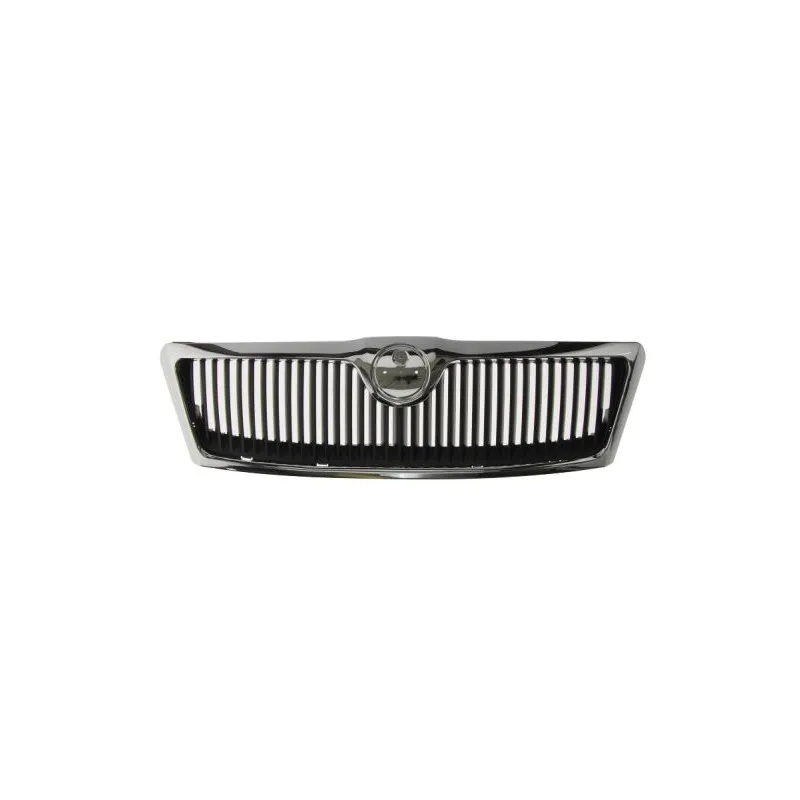 Grille de radiateur BLIC 6502-07-7521990CP