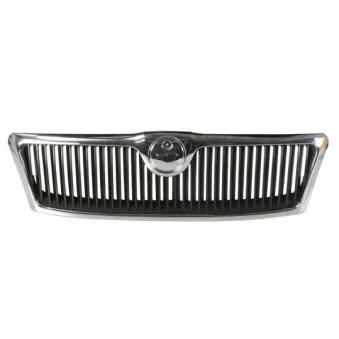 Grille de radiateur BLIC 6502-07-7521990CQ