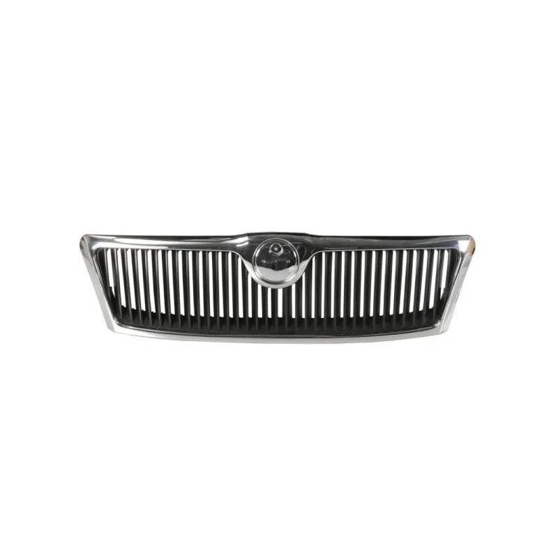 Grille de radiateur BLIC 6502-07-7521990CQ