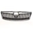 Grille de radiateur BLIC 6502-07-7521991P - Visuel 1