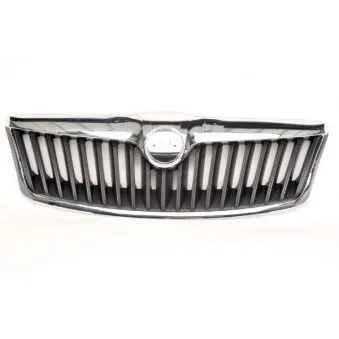 Grille de radiateur BLIC 6502-07-7521991P