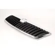 Grille de radiateur BLIC 6502-07-7521991P - Visuel 2
