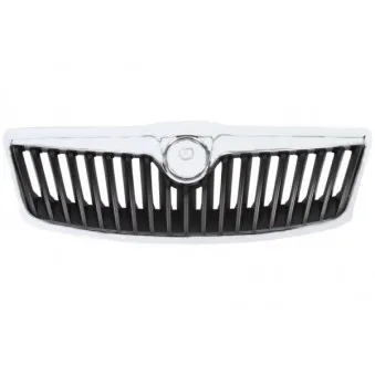 Grille de radiateur BLIC 6502-07-7521991Q