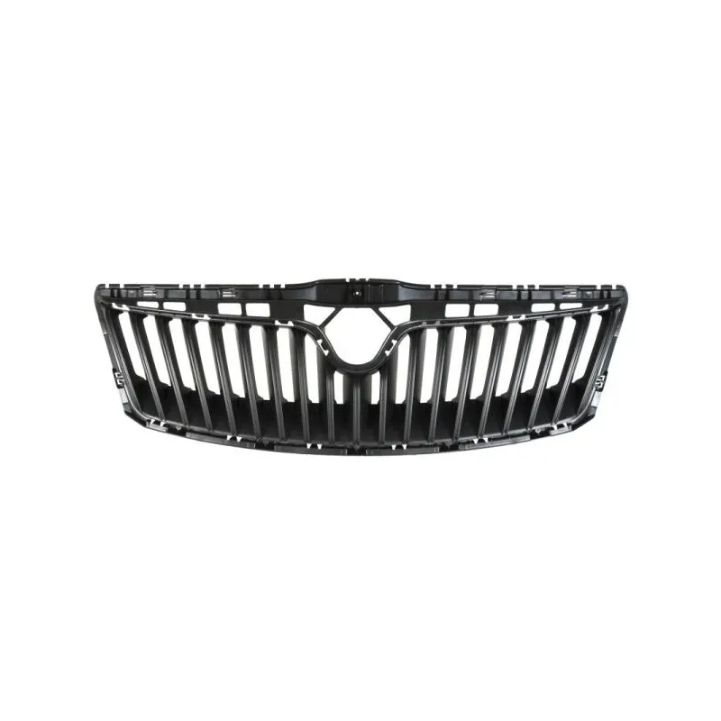 Grille de radiateur BLIC 6502-07-7521995Q