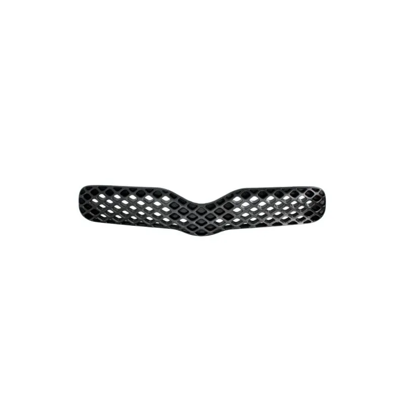 Grille de radiateur BLIC 6502-07-8109990P