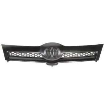 Grille de radiateur BLIC 6502-07-8117990P