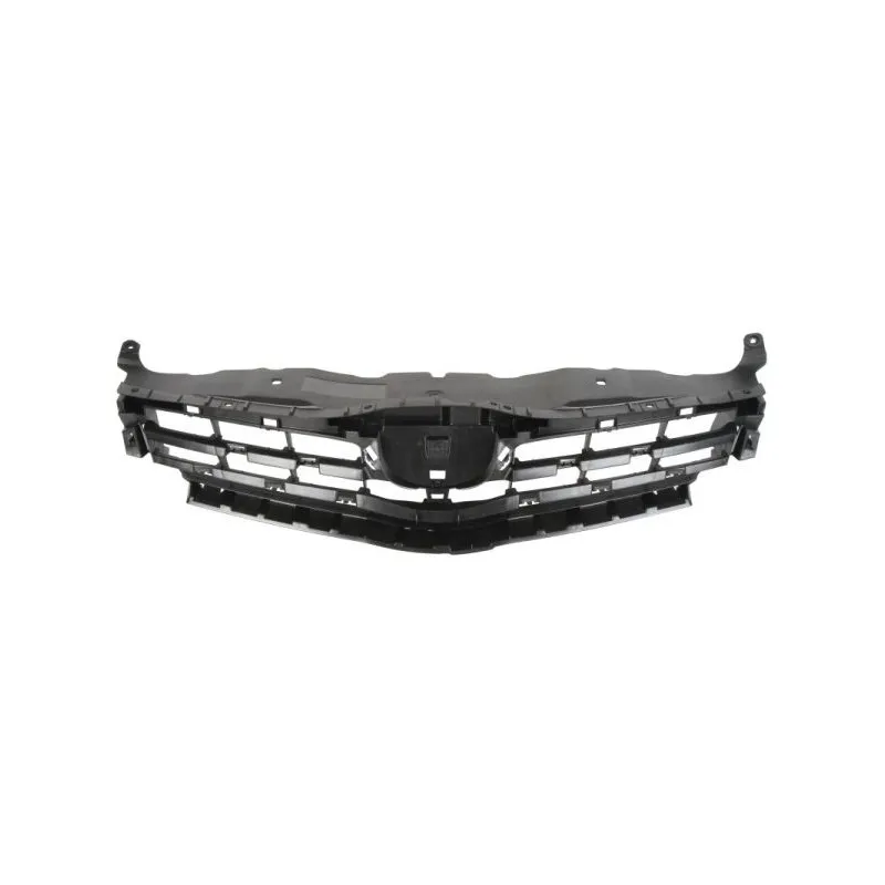 Grille de radiateur BLIC 6502-07-8118997Q