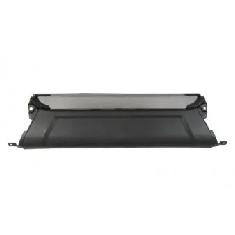 Grille de radiateur BLIC 6502-07-8125990P
