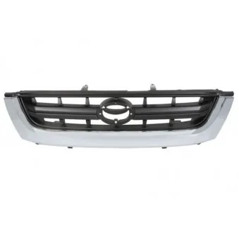Grille de radiateur BLIC 6502-07-8125991P