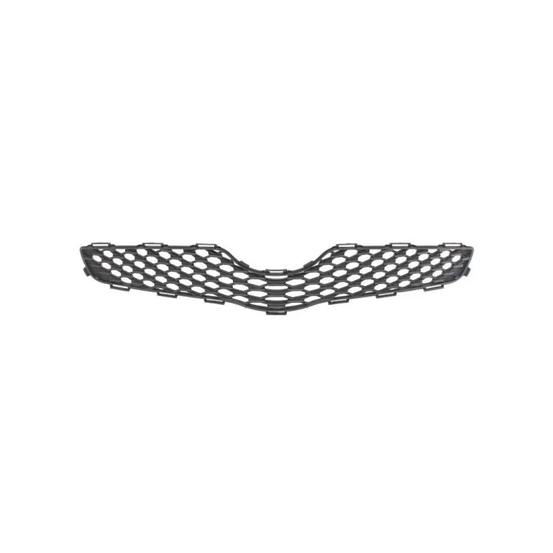 Grille de radiateur BLIC 6502-07-8155992Q