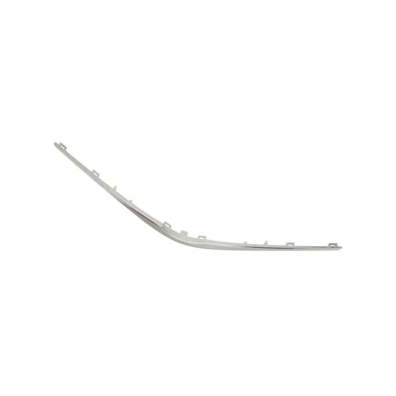 Baguette et bande protectrice, grille de radiateur BLIC 6502-07-8156211Q