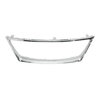 Cadre, grille de radiateur BLIC 6502-07-8171991P
