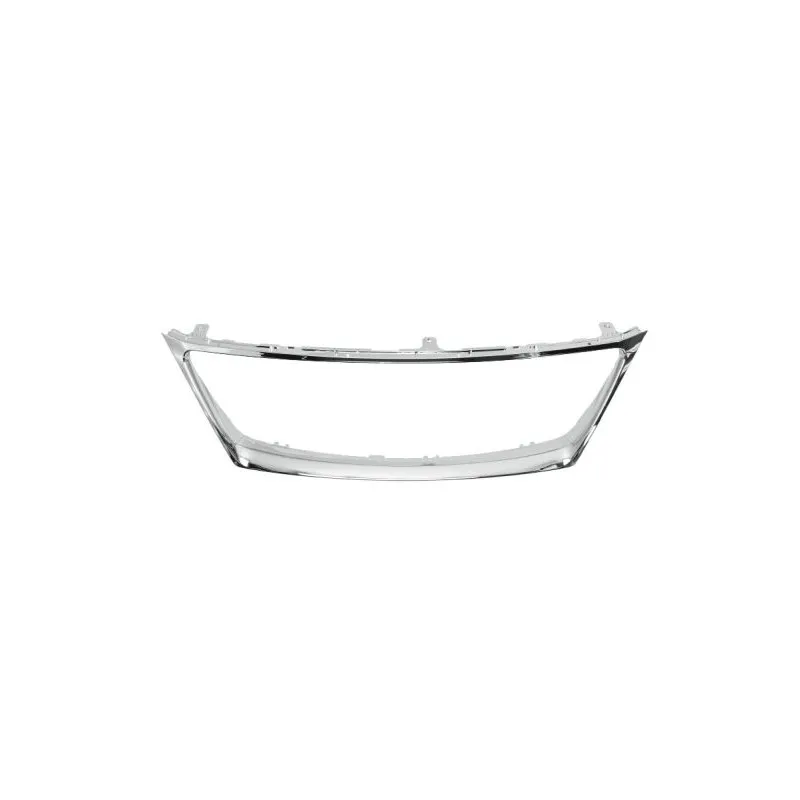 Cadre, grille de radiateur BLIC 6502-07-8171991P