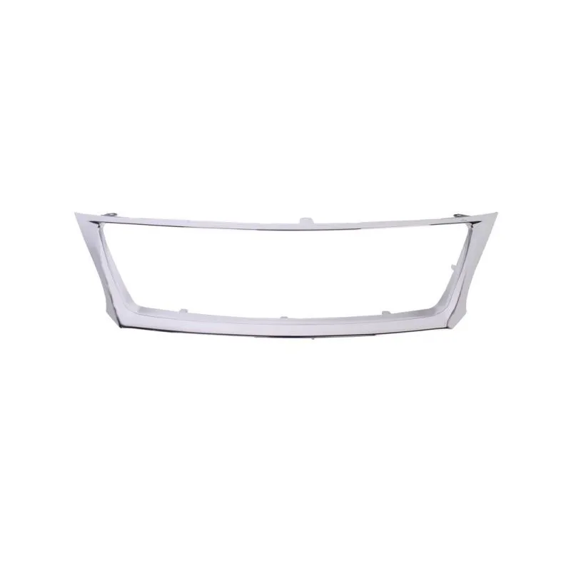 Cadre, grille de radiateur BLIC 6502-07-8171993P