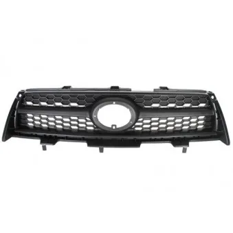 Grille de radiateur BLIC 6502-07-8179992P