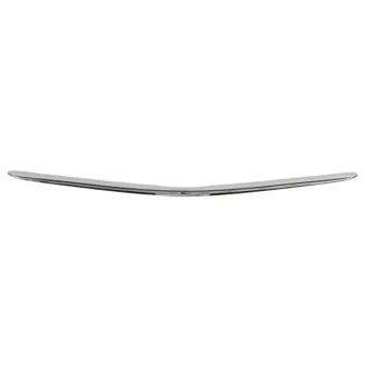 Baguette et bande protectrice, grille de radiateur BLIC 6502-07-8198211P