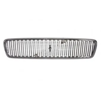 Grille de radiateur BLIC 6502-07-9016990P