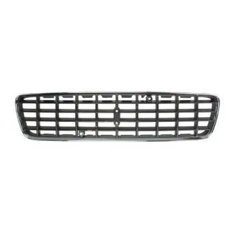 Grille de radiateur BLIC 6502-07-9021990P