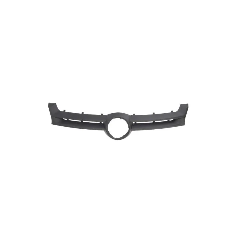 Grille de radiateur BLIC 6502-07-9524990PP