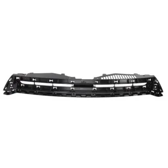 Grille de radiateur BLIC 6502-07-9532990P