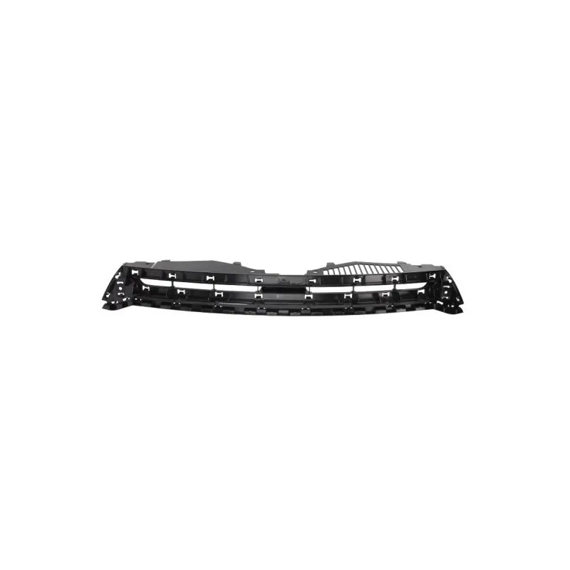 Grille de radiateur BLIC 6502-07-9532990P