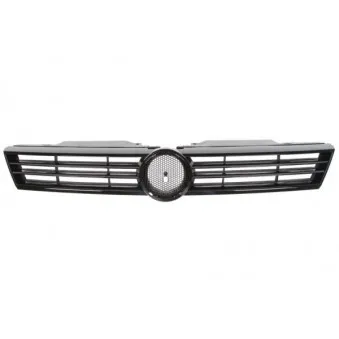 Grille de radiateur BLIC 6502-07-9535991P