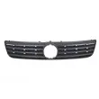 Grille de radiateur BLIC 6502-07-9539990Q - Visuel 1