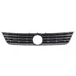 Grille de radiateur BLIC 6502-07-9539990Q - Visuel 2