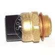 Interrupteur de température, ventilateur de radiateur AIC 50809 - Visuel 2